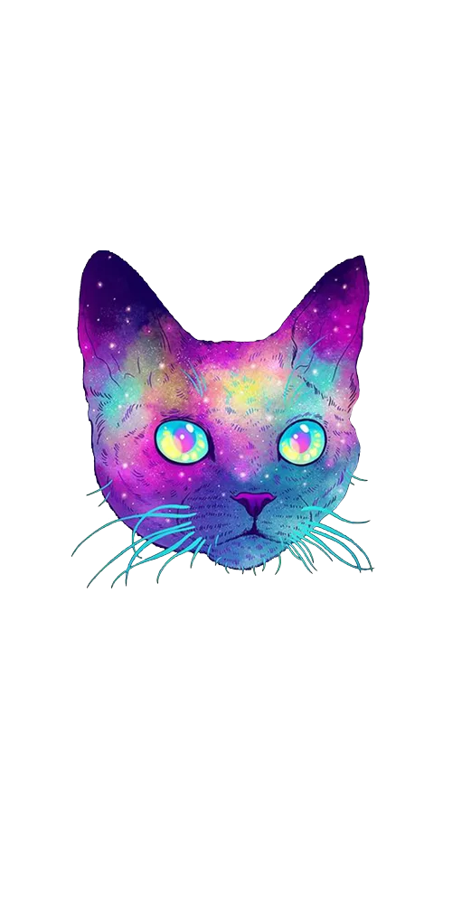 İphone 16 Renkli kedi tasarım